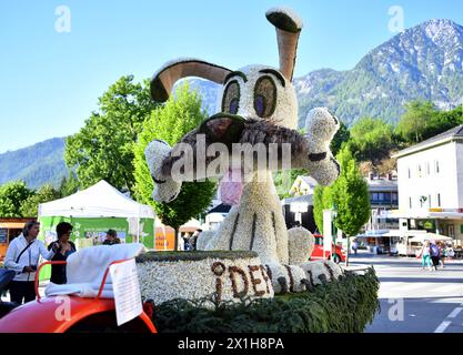 Dans Ausseerland - Salzkammergut, les narcissi en forme d'étoile blanche, sont en fleurs entre la mi-mai et la mi-juin, selon l'altitude. Narzissenfest, le plus grand festival de fleurs d'Autriche, a lieu à cette période chaque année. Le Narzissenfest aura lieu du 26 au 28 mai 2017. PICTURE : Autokorso (parade) - 20170528 PD0350 - Rechteinfo : droits gérés (RM) Banque D'Images