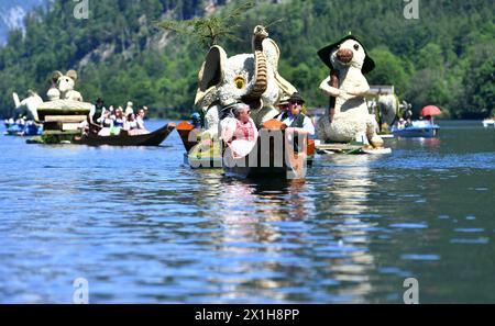 Dans Ausseerland - Salzkammergut, les narcissi en forme d'étoile blanche, sont en fleurs entre la mi-mai et la mi-juin, selon l'altitude. Narzissenfest, le plus grand festival de fleurs d'Autriche, a lieu à cette période chaque année. Le Narzissenfest aura lieu du 26 au 28 mai 2017. PHOTO : - 20170528 PD2570 - Rechteinfo : droits gérés (RM) Banque D'Images