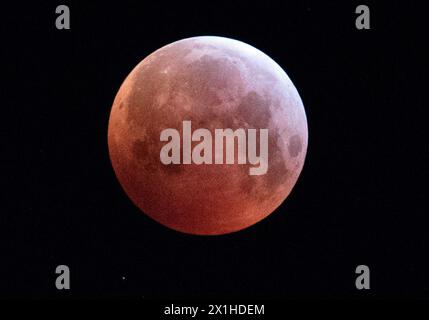 Éclipse lunaire totale (lune de sang) vue de Vienne, le 21 janvier 2019. - 20190121 PD0819 - Rechteinfo : droits gérés (RM) Banque D'Images