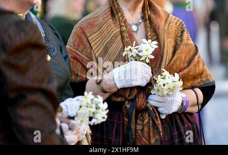 Dans Ausseerland - Salzkammergut, les narcissi en forme d'étoile blanche, sont en fleurs entre la mi-mai et la mi-juin, selon l'altitude. Narzissenfest, le plus grand festival de fleurs d'Autriche, a lieu à cette période chaque année. Le Narzissenfest aura lieu du 30 mai au 2 juin 2019. PHOTO : - 20190602 PD0747 - Rechteinfo : droits gérés (RM) Banque D'Images