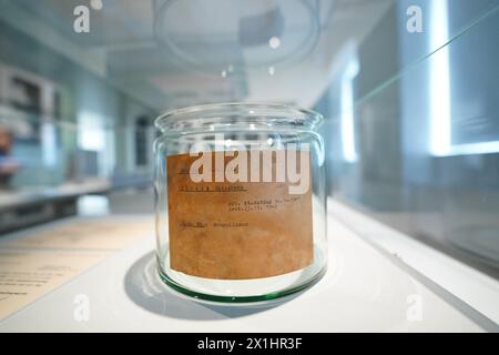 La réouverture du musée d'histoire médicale "Josephinum" de MedUni Vienne après rénovation, le mardi 27 septembre 2022, à Vienne. - 20220927 PD5045 - Rechteinfo : droits gérés (RM) Banque D'Images