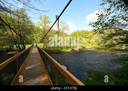 Parc national de Thayatal - le parc national de Thayatal forme une grande zone protégée transfrontalière avec le parc tchèque Narodní adjacent Podyjí, qui conserve l'un des derniers paysages naturels de vallée d'Europe centrale. Photo prise à Hardegg, Autriche, le 9 mai 2023. Pont suspendu - 20230509 PD19499 - Rechteinfo : droits gérés (RM) Banque D'Images