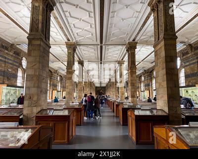 La salle des minéraux du Natural History Museum de Londres, Royaume-Uni, le 11 avril 2024 Banque D'Images