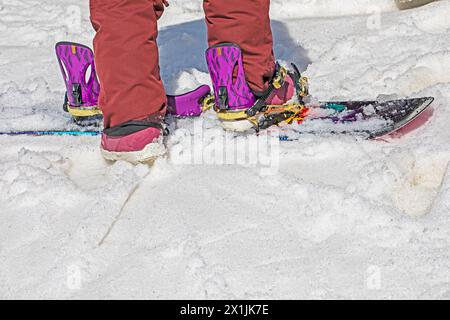 snowboarder se tient sur une pente enneigée par une journée ensoleillée. Sports et loisirs actifs Banque D'Images