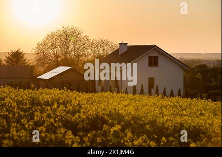 Maison unifamiliale sur une colline avec panneaux solaires en face au coucher du soleil Banque D'Images