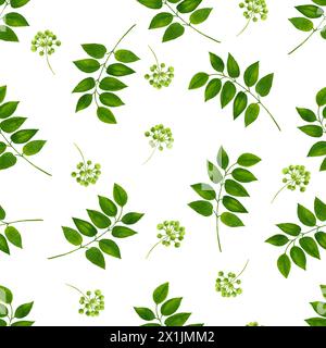 Motif sans couture aquarelle avec des branches et des feuilles. Feuilles et branches peintes à la main isolées sur fond blanc. Illustration pour la conception, impression Banque D'Images