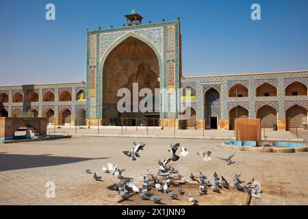 Les pigeons se nourrissent dans la cour de la mosquée Jameh d'Ispahan (8ème centime), l'une des plus anciennes mosquées d'Iran et classée au patrimoine mondial de l'UNESCO. Ispahan, Iran. Banque D'Images