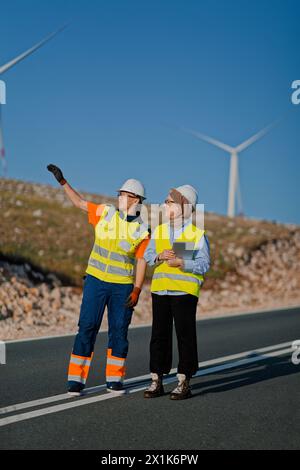 Une ingénieure avec une tablette et son collègue inspectent les éoliennes dans un champ, démontrant le travail d’équipe et le dévouement aux projets d’énergie renouvelable Banque D'Images