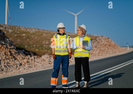 Une ingénieure avec une tablette et son collègue inspectent les éoliennes dans un champ, démontrant le travail d’équipe et le dévouement aux projets d’énergie renouvelable Banque D'Images