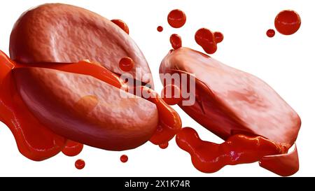 Le rendu 3d de l'hémolyse, est le processus de décomposition des globules rouges et de libération de leur contenu dans le liquide environnant Banque D'Images