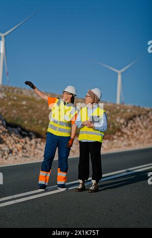 Une ingénieure avec une tablette et son collègue inspectent les éoliennes dans un champ, démontrant le travail d’équipe et le dévouement aux projets d’énergie renouvelable Banque D'Images