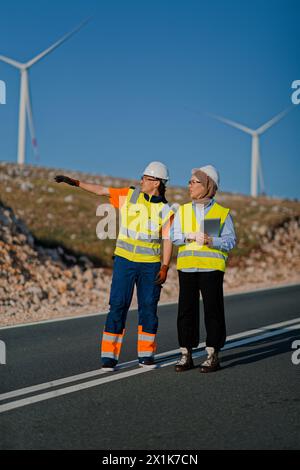 Une ingénieure avec une tablette et son collègue inspectent les éoliennes dans un champ, démontrant le travail d’équipe et le dévouement aux projets d’énergie renouvelable Banque D'Images