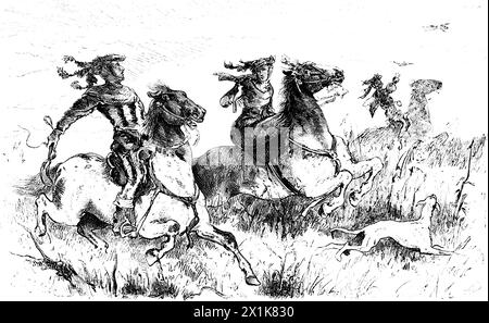 Une chasse sauvage sur cheval avec un chien, chasse des aigrettes, illustration historique 1880 Banque D'Images