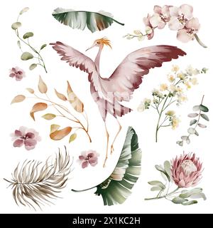 Oiseaux Ibis roses. Éléments d'aquarelle d'oiseaux tropicaux, de fleurs et de plantes. Plantes de banane et orchidée, flamant rose australien sur fond blanc. Banque D'Images