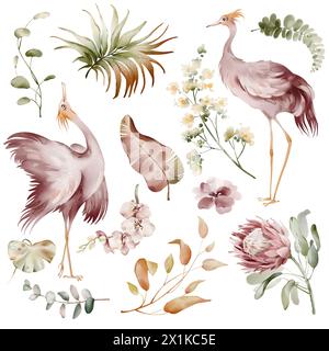 Oiseaux Ibis roses. Éléments d'aquarelle d'oiseaux tropicaux, de fleurs et de plantes. Plantes de banane et orchidée, flamant rose australien sur fond blanc. Banque D'Images