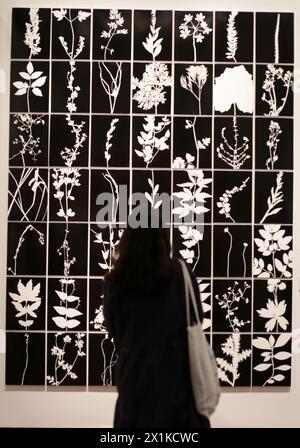 Mexico, Mexique. 16 avril 2024. Une femme visite l'exposition Atlas des artistes néerlandais Jan Hendrix au Citibanamex culture Palace, à Mexico, Mexique, le 16 avril 2024. Crédit : Francisco Canedo/Xinhua/Alamy Live News Banque D'Images