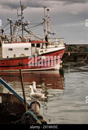 Bateau de pêche amarré dans le port de Pittenweem, Fife, Écosse Banque D'Images