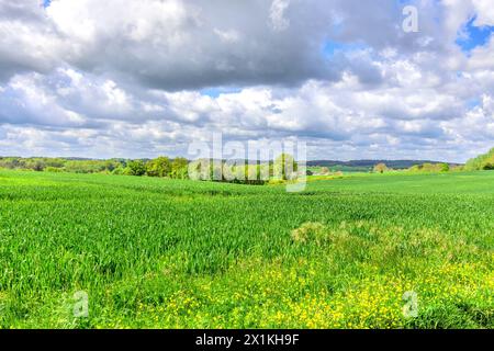 Vue sur les terres agricoles semées de blé d'hiver et de nuages de pluie Stratocumulus - centre de la France. Banque D'Images