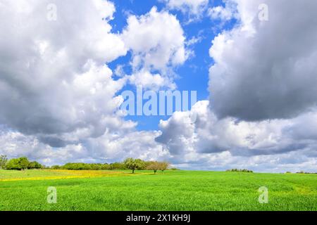 Vue sur les terres agricoles semées de blé d'hiver et de nuages de pluie Stratocumulus - centre de la France. Banque D'Images