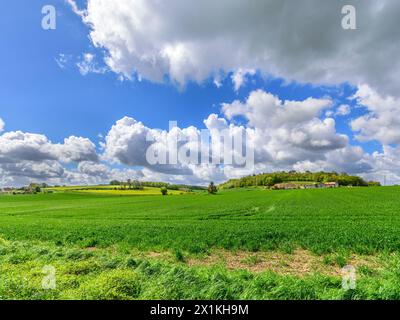 Vue sur les terres agricoles semées de blé d'hiver et de nuages de pluie Stratocumulus - centre de la France. Banque D'Images