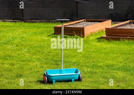 Fertiliser une jeune pelouse avec de l'engrais d'herbe en granulés à l'aide d'un semoir manuel d'herbe. Banque D'Images