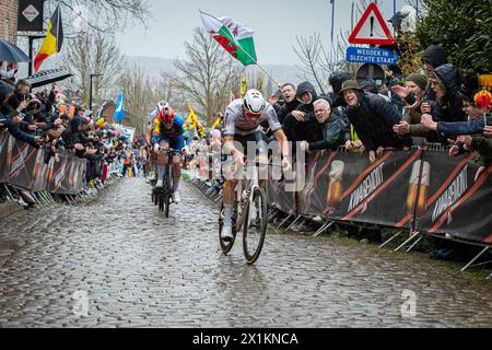 De ronde van Vlaanderen (Tour des Flandres), Belgique. Le champion du monde d'Alpecin Deceuninck Mathieu van der Poel attaque l'Oude Kwaremont Anvers Banque D'Images