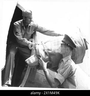 LES HOMMES QUI 'S'OCCUPENT' GÉNÉRAL ALEXANDER - Foreman Dundee tilelayer, 23 ans oCplc. William Williamson, a le rôle important de batman pour le «chef» comme le général Alexander est connu parmi son état-major. Il est vu passer une valise dans l'avion, British Army Banque D'Images