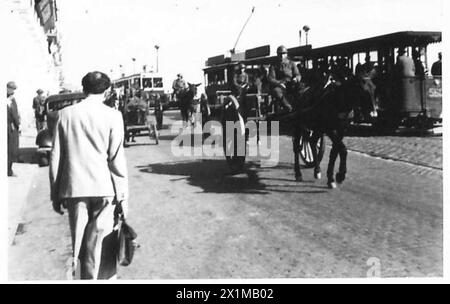 L'OPÉRATION TORCH, NOVEMBRE 1942 - soldats français conduisant des charrettes tirées par des chevaux à Alger occupée par les Alger, 12-13 novembre 1942, Armée française Banque D'Images