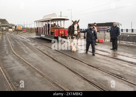 Tramway à cheval de Douglas Bay le plus ancien tramway à cheval survivant en Grande-Bretagne Banque D'Images