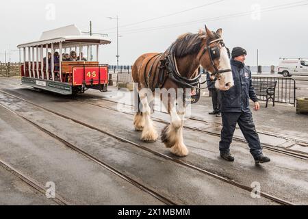 Tramway à cheval de Douglas Bay le plus ancien tramway à cheval survivant en Grande-Bretagne Banque D'Images