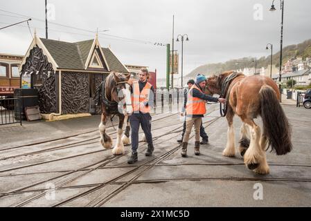 Tramway à cheval de Douglas Bay le plus ancien tramway à cheval survivant en Grande-Bretagne Banque D'Images