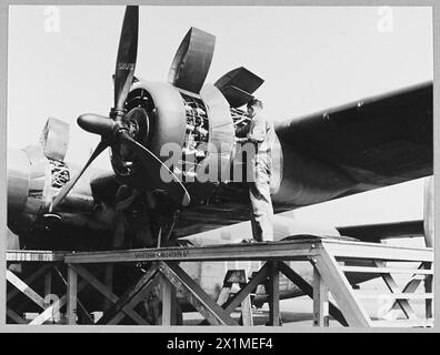 BRITISH'S CIVIL AIRWAYS EN GUERRE : pour l'histoire, voir CH.14313 - photo (publiée en 1945) montre - équipage au sol en travaux de maintenance sur un B.O.A.C. Liberator du North Atlantic Return Ferry Service, Royal Air Force Banque D'Images