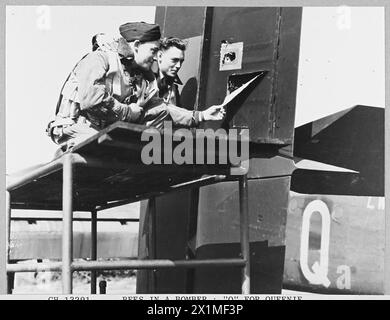 Un essaim d'abeilles prend refuge dans le gouvernail du bombardier Halifax 'Q for Queenie' sur un aérodrome du Nord de l'Angleterre en 1944. Les artilleurs aériens le Sergent Hugh Sloan et le Sergent Jack Clague inspectent l'essaim avant le départ de l'avion pour les opérations. Banque D'Images