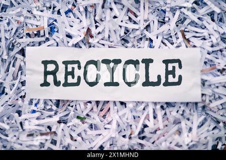 Déchiquetage, papier et poubelle en studio pour le recyclage ou l'élimination au bureau des déchets ou documents confidentiels. Lettre ou rapports, privé et supérieur Banque D'Images