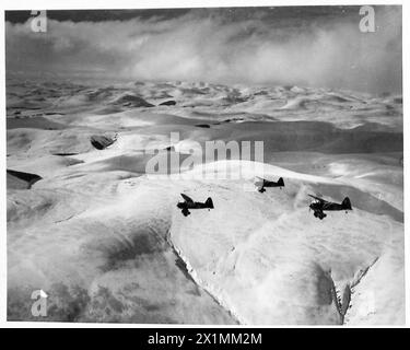 Trois Westland Lysander Mark IIIAs de l'escadron polonais de chasse-reconnaissance no 309, qui fait partie du commandement de coopération de l'armée de la RAF, sont représentés lors d'une mission d'entraînement de reconnaissance photographique au-dessus de collines enneigées près de Dunino, Fife, Écosse, entre 1940 et 1947. Banque D'Images