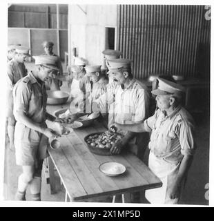 Les membres d'une compagnie forestière de la Cyprus Volunteer Force de l'armée britannique reçoivent leur repas dans une cuisine. Banque D'Images