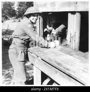 CINQUIÈME ARMÉE : ANZIO BRIDGEHEADSOLDIER AVIS DE L'EX-MINEUR SUR LA GRÈVE DES MINEURS - L/CPL. R. Parrish du 20 Benson Square, Normanton, Yorkshire, tout en tirant son thé, a déclaré : «je travaillais pour Altofts West Riding Collieries, et j'ai vu le même service que la plupart de la Division - Tunisie, Pantellaria, Italie et maintenant ce débarquement. Je ne suis pas d'accord avec une grève à un moment comme celui-ci. Les mineurs n'ont pas eu un accord carré, mais ils auraient pu choisir un meilleur moment que celui-ci", British Army Banque D'Images