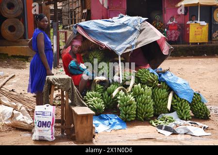 Deux femmes ougandaises vendent gracieusement des bananes sur un stand de marché en bordure de route, l'une équilibrant tendrement un bébé dans ses bras, au milieu d'une activité de marché animée. Banque D'Images