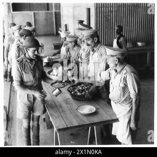 Les membres de la Compagnie forestière de la Force volontaire chypriote reçoivent leur dîner à la cuisine pendant les opérations et les tâches quotidiennes. Banque D'Images