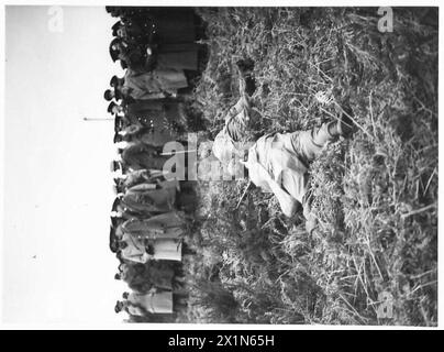 Les troupes de parachute prennent position après l'atterrissage lors d'une opération de remorquage de planeurs dans le cadre d'exercices d'entraînement de l'armée britannique. Banque D'Images