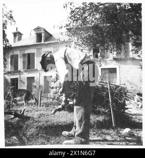 Une FAMILLE FRANÇAISE RETOURNE DANS LEUR VILLAGE DÉCHIRÉ DE COQUILLAGES - le vieux grand-père sort dans le jardin de la maison de M. Renoulf pour trouver et couper du bois pour les incendies, armée britannique, 21e groupe d'armées Banque D'Images