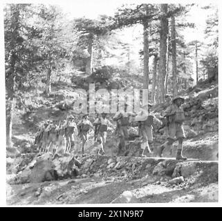 Une compagnie forestière de la Cyprus Volunteer Force marchant dans les forêts de pins, armée britannique. Banque D'Images
