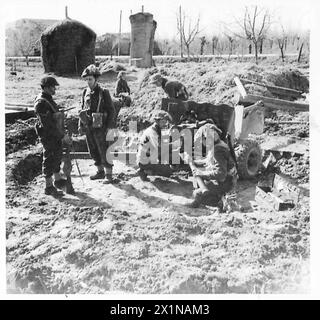 HUITIÈME ARMÉE : PALESTINIENS EN ACTION - Une équipe de canons antichars de 6 livres préparant leur site de tir dans le village de Mezzano, armée britannique Banque D'Images