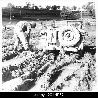 ITALIE : CINQUIÈME ARMYWITH L'AMÉRICAIN SUR LE FRONT VENAFRO - même la Jeep Wonder se retrouve coincé dans la boue, British Army Banque D'Images