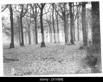 Les troupes de parachutistes se mettent à couvert dans les zones boisées après des exercices de débarquement pendant les opérations d'entraînement de l'armée britannique. Banque D'Images