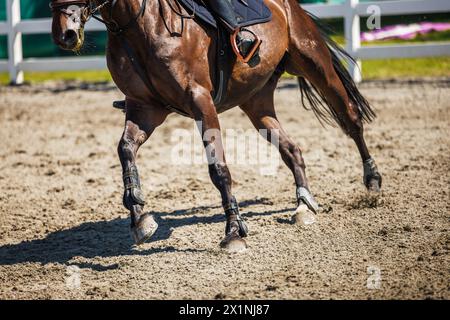 Jambes de cheval de course pendant l'événement équestre sportif. Focalisation sélective sur le sabot d'animal. Équitation Banque D'Images