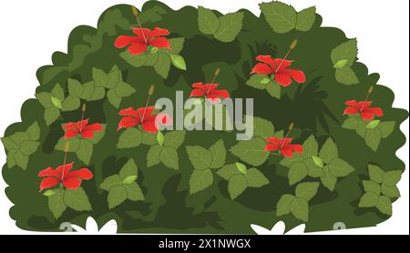 Belle illustration vectorielle de plante hibiscus Illustration de Vecteur