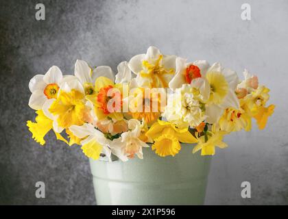Beau bouquet de fleurs de variété colorée et différente de fleurs de jonquille dans un seau en émail vert. Décoration pour la maison ou l'événement. Banque D'Images