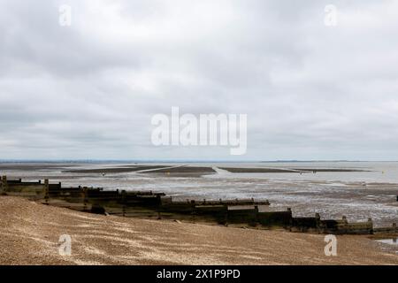 Une vue générale des lits d'huîtres dans la mer du Nord de la côte Whitstable, Kent, Angleterre le jeudi 11 avril 2024. (Photo : Mark Fletcher | mi News) Banque D'Images