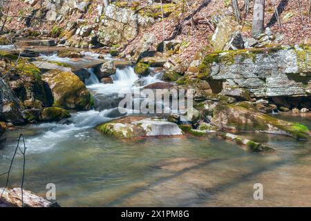 Petite cascade sur Cedar Creek dans Natural Bridge State Park. Cedar Creek est un affluent de la rivière James. Virginia. ÉTATS-UNIS Banque D'Images